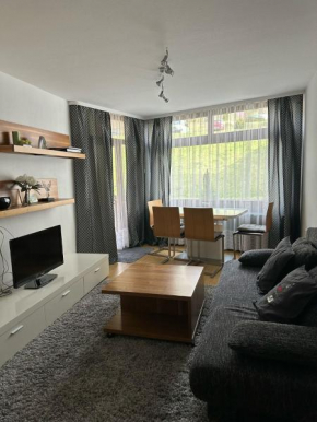 2 Zimmer Appartement mit Pool im Haus
